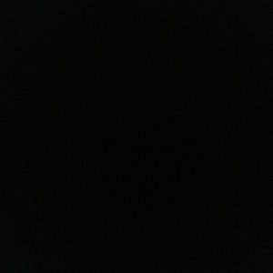 Meet your Posher, Willie